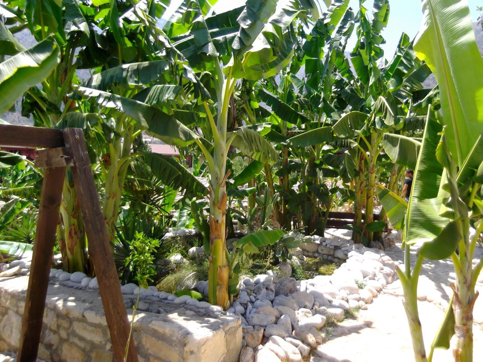 Stone Village Hotel Apartments Bali  Exterior foto